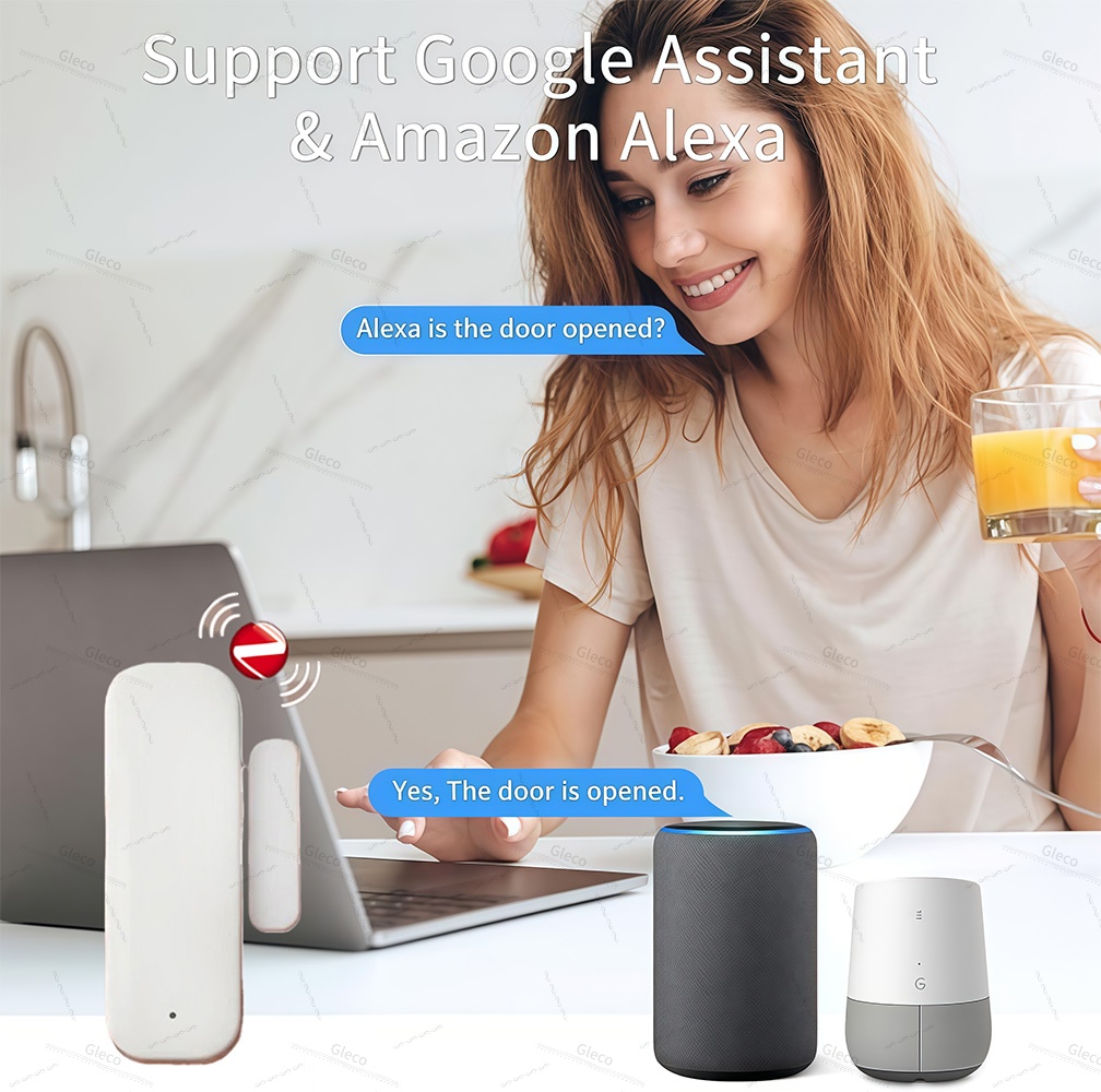 زيجبي نافذة مستشعر الباب كشف م - مراجعة Window Alarm Sensor وسعره
